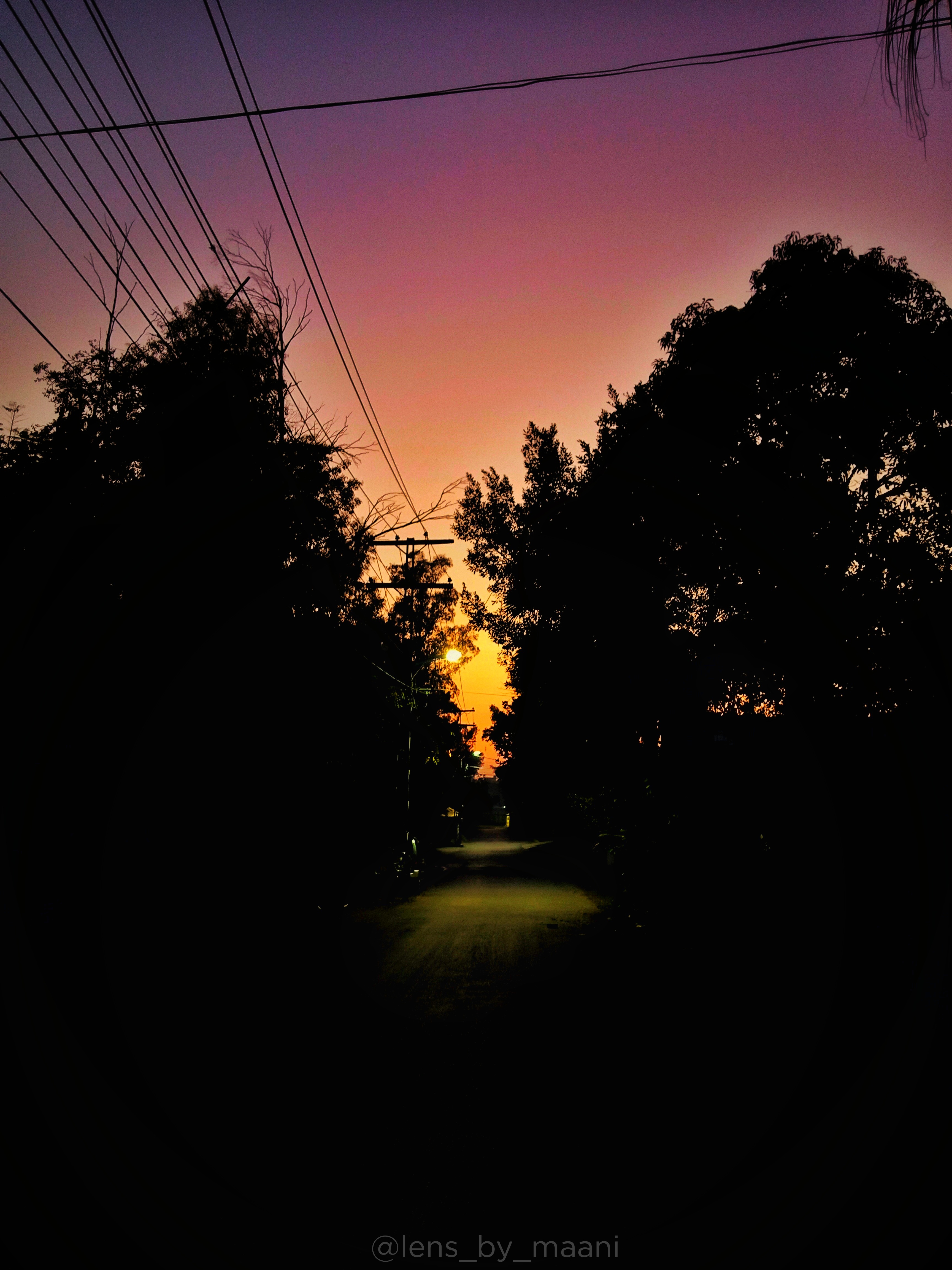 Blues & Purple 5