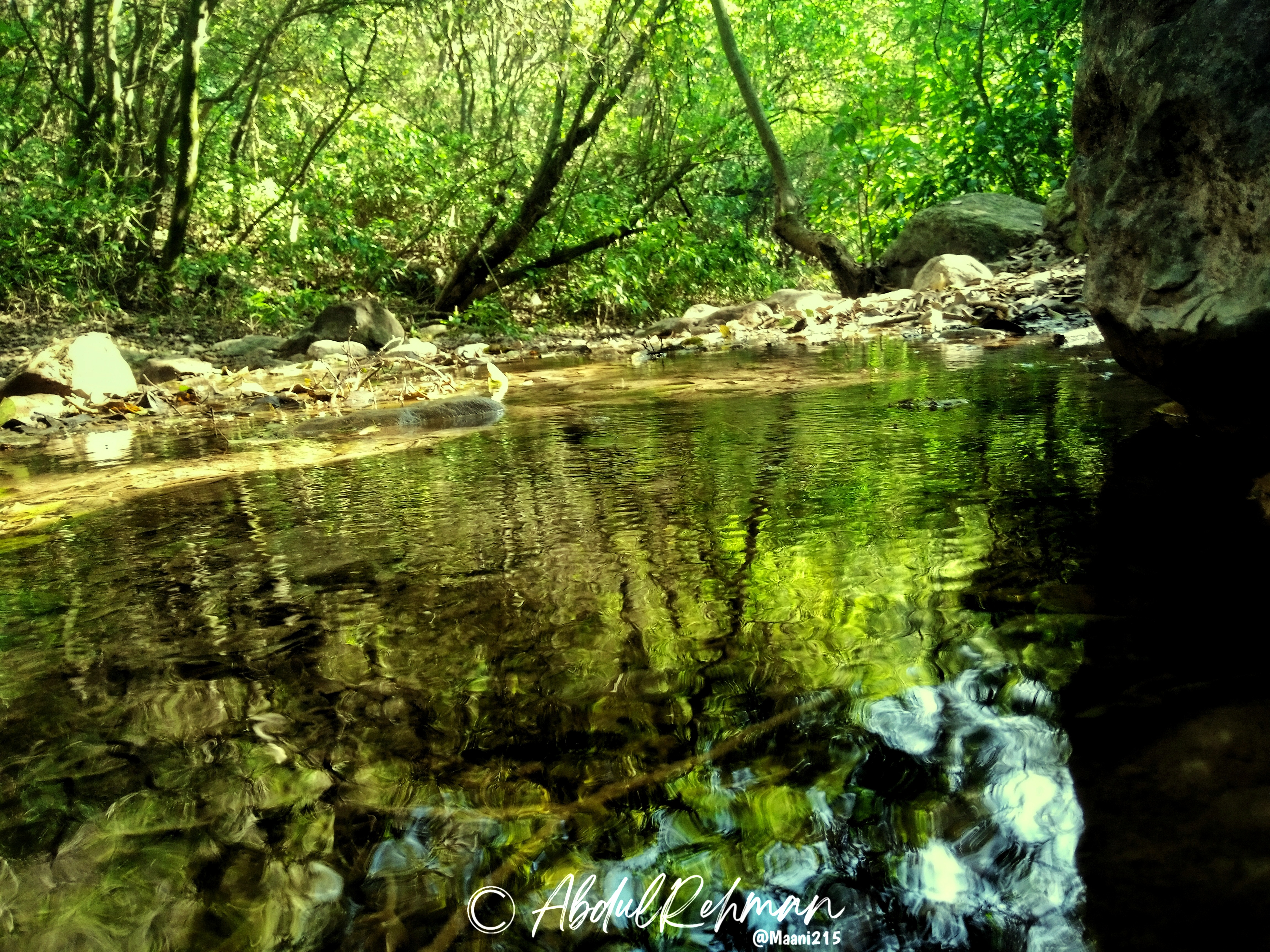 Walk Into Nature 1