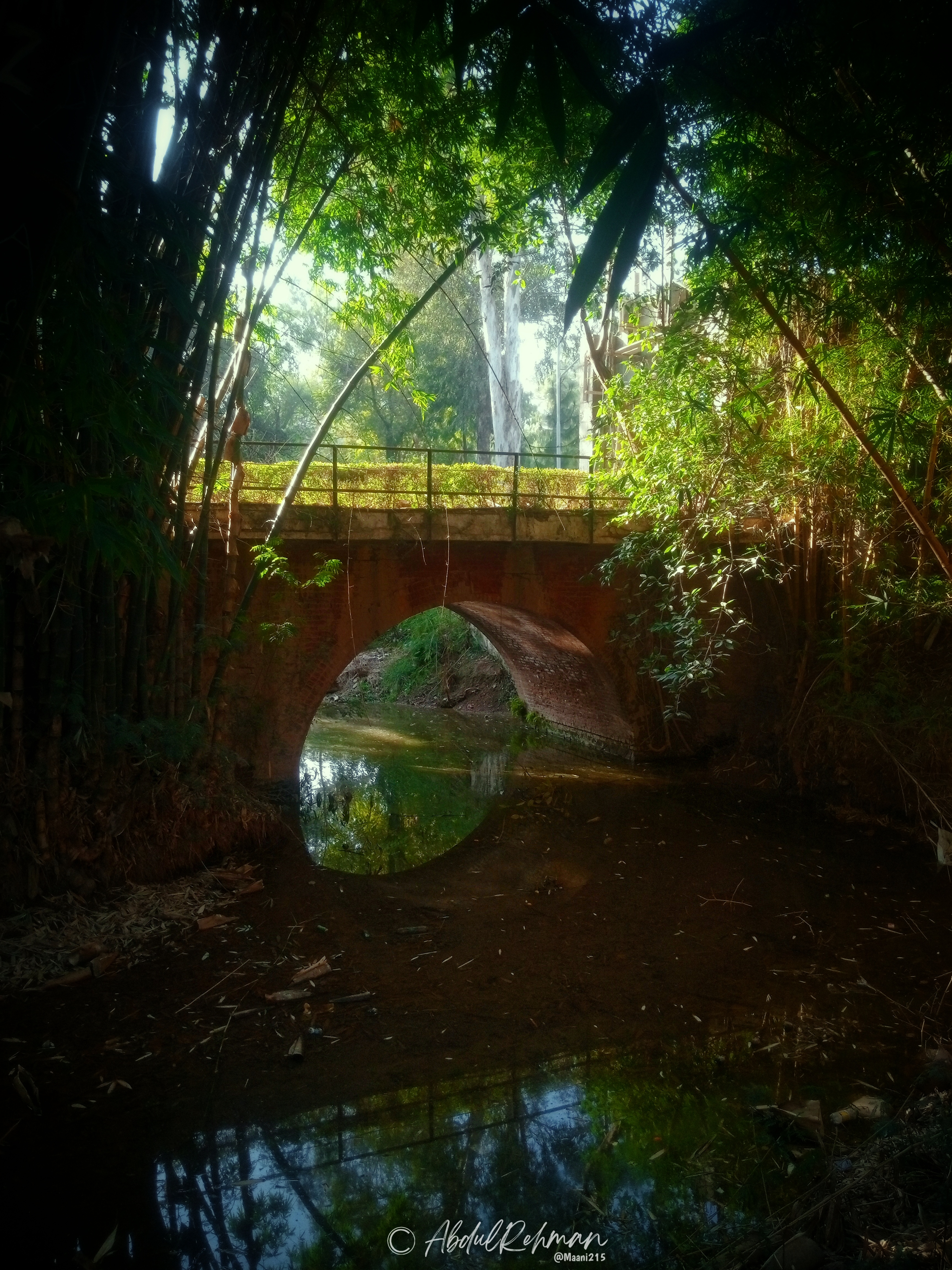 Walk Into Nature 2