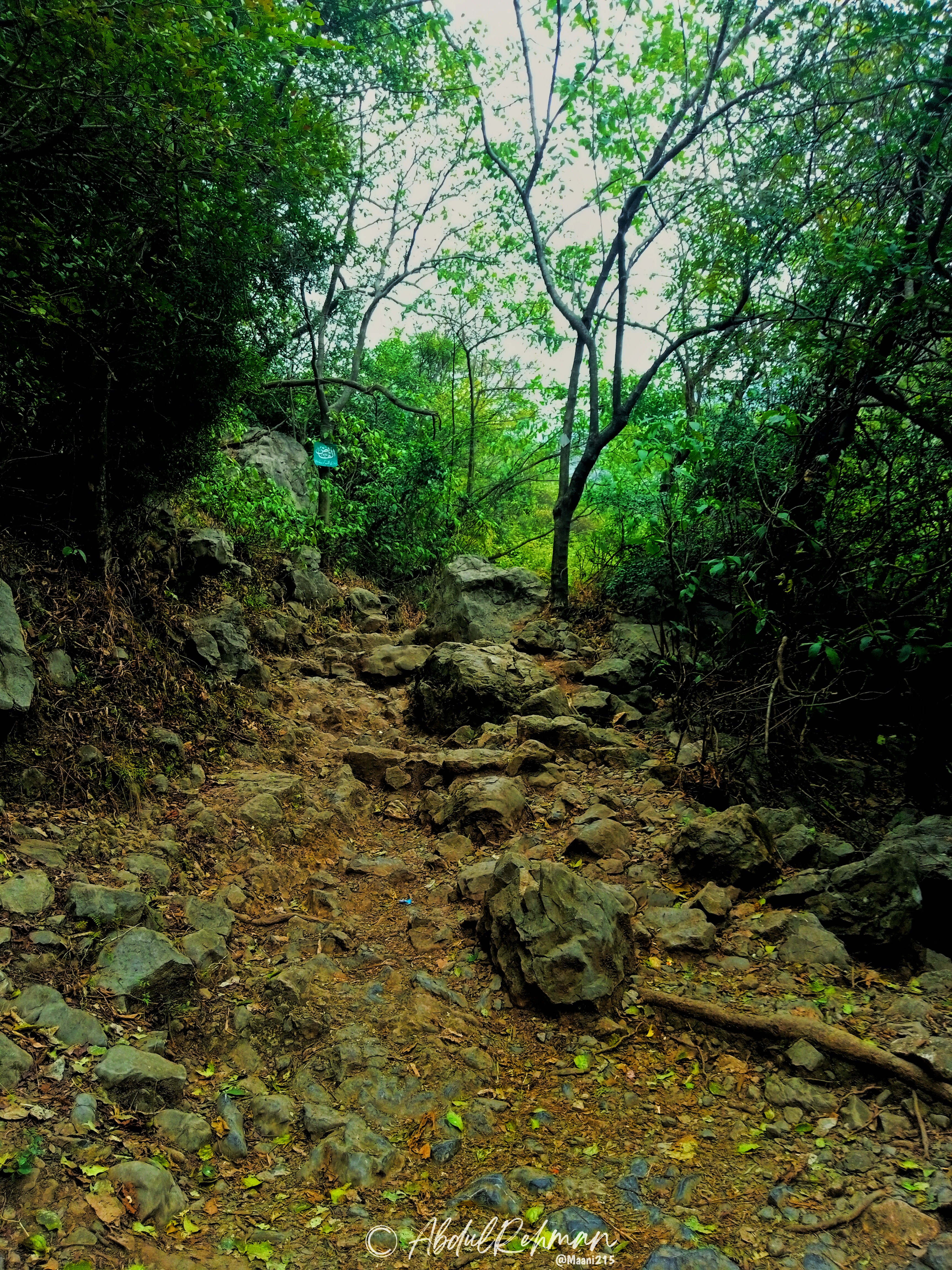 Walk Into Nature 3