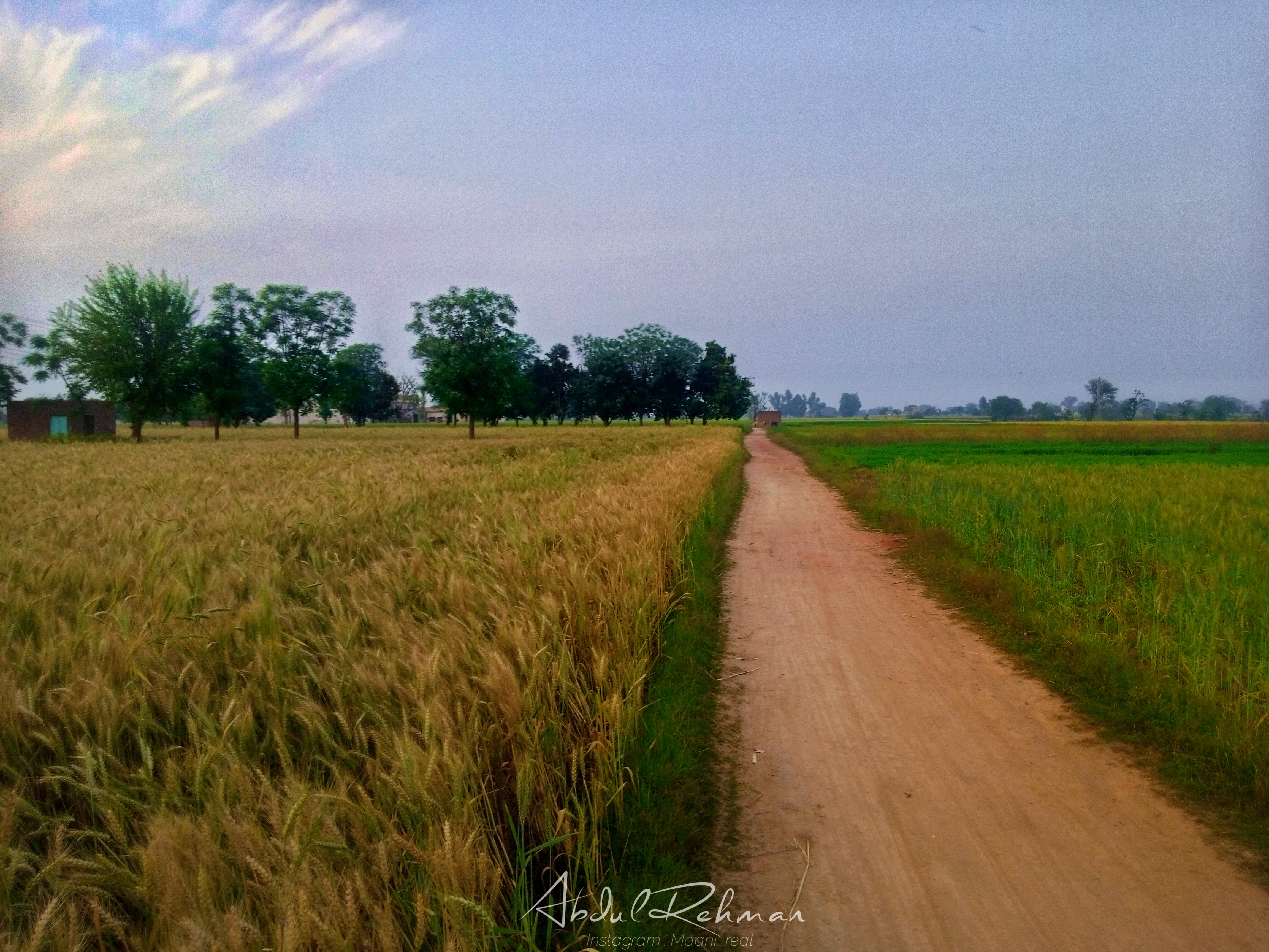 Walk Into Nature 5