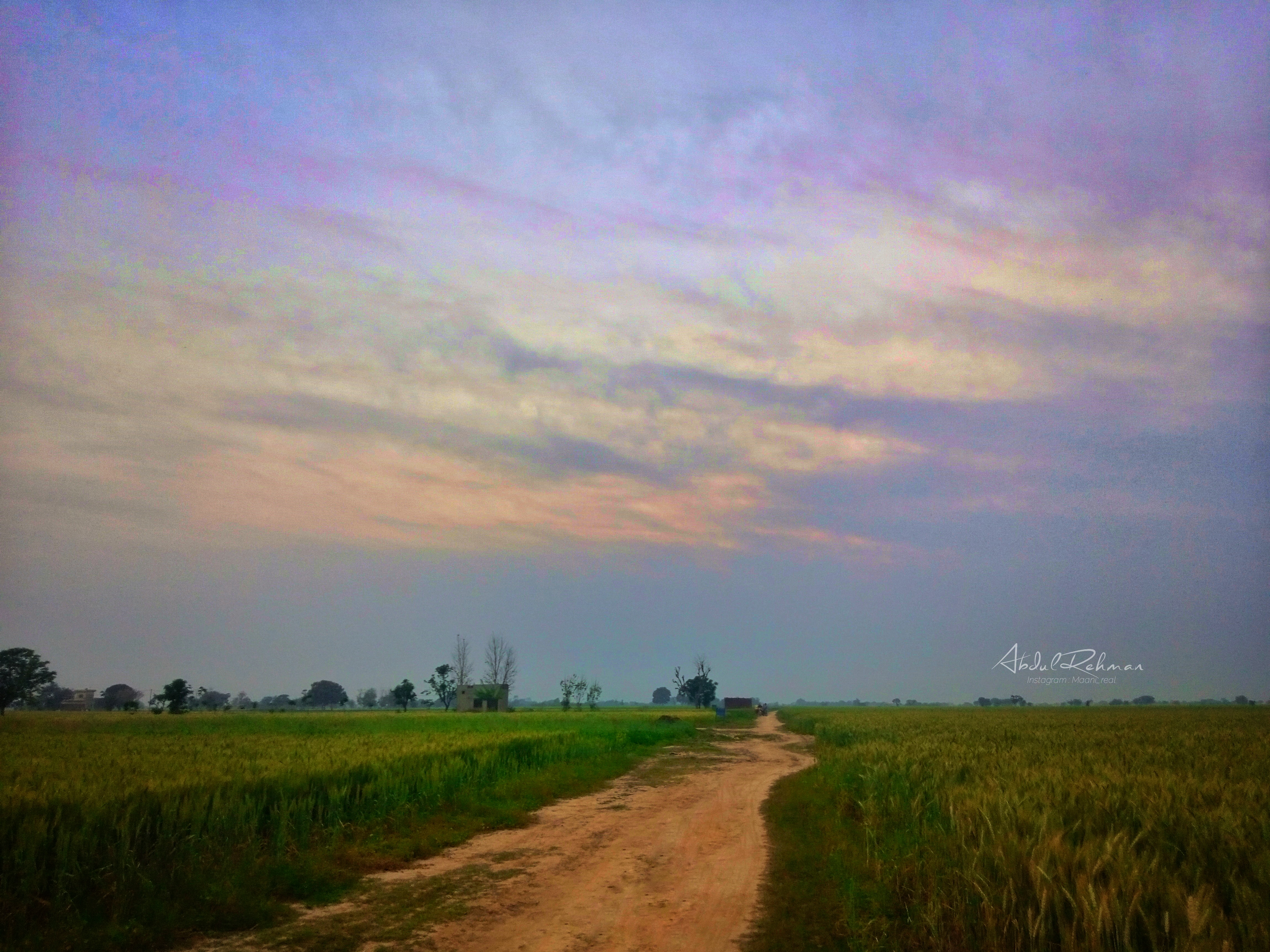 Walk Into Nature 8