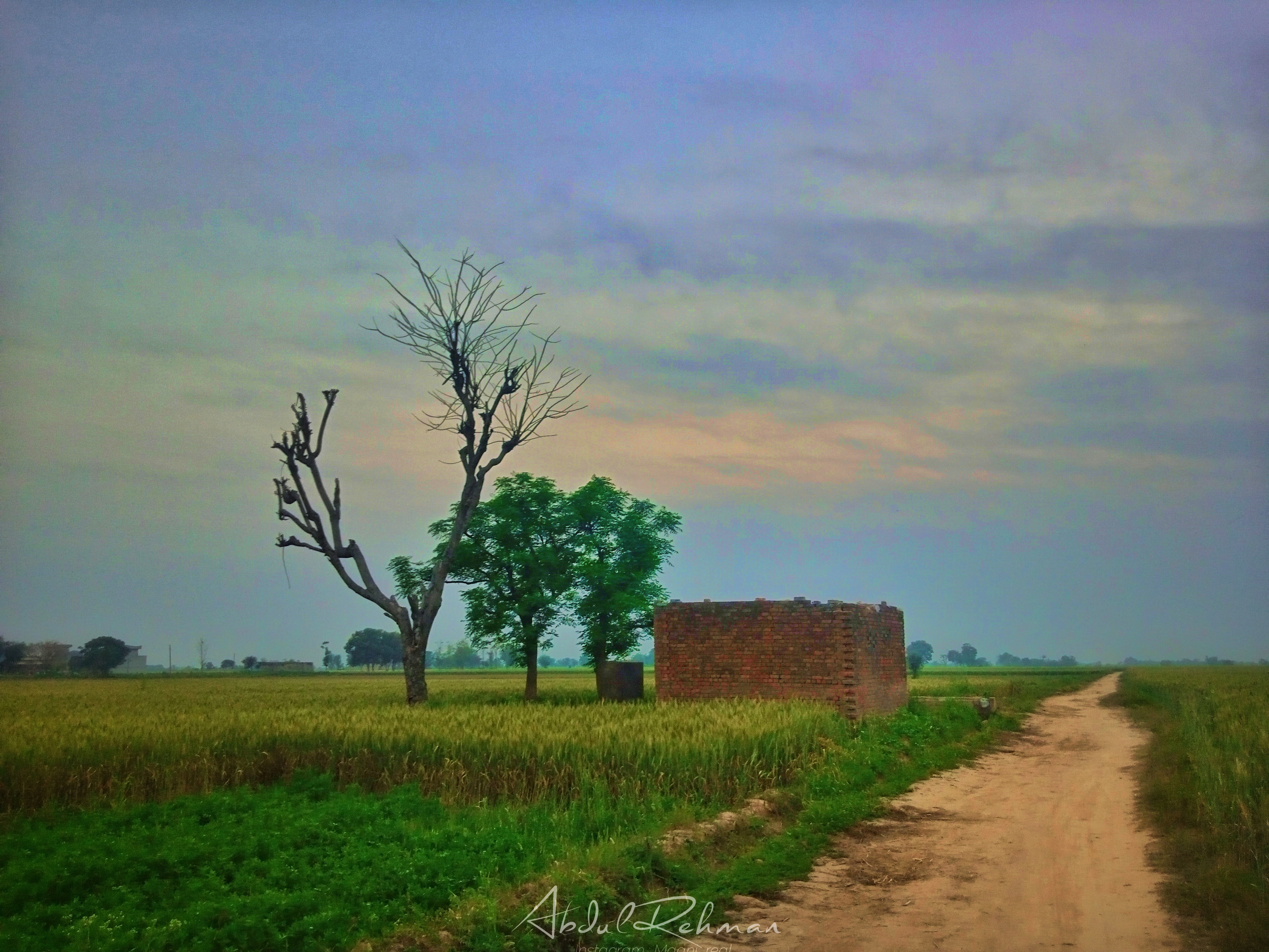 Walk Into Nature 6